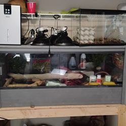 Complete Reptile Set Brand New Never Used 120 Gallon Cage.