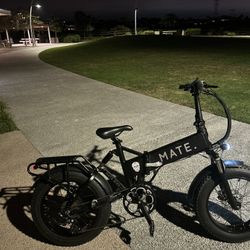 Mate X E-bike 