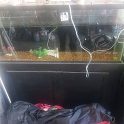 75 G Fish Tank