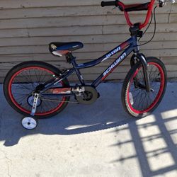 20 in. Schwinn Bicycle With Training Wheels