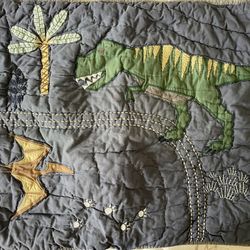 Pottery Barn Kids Quilted Pillow Case