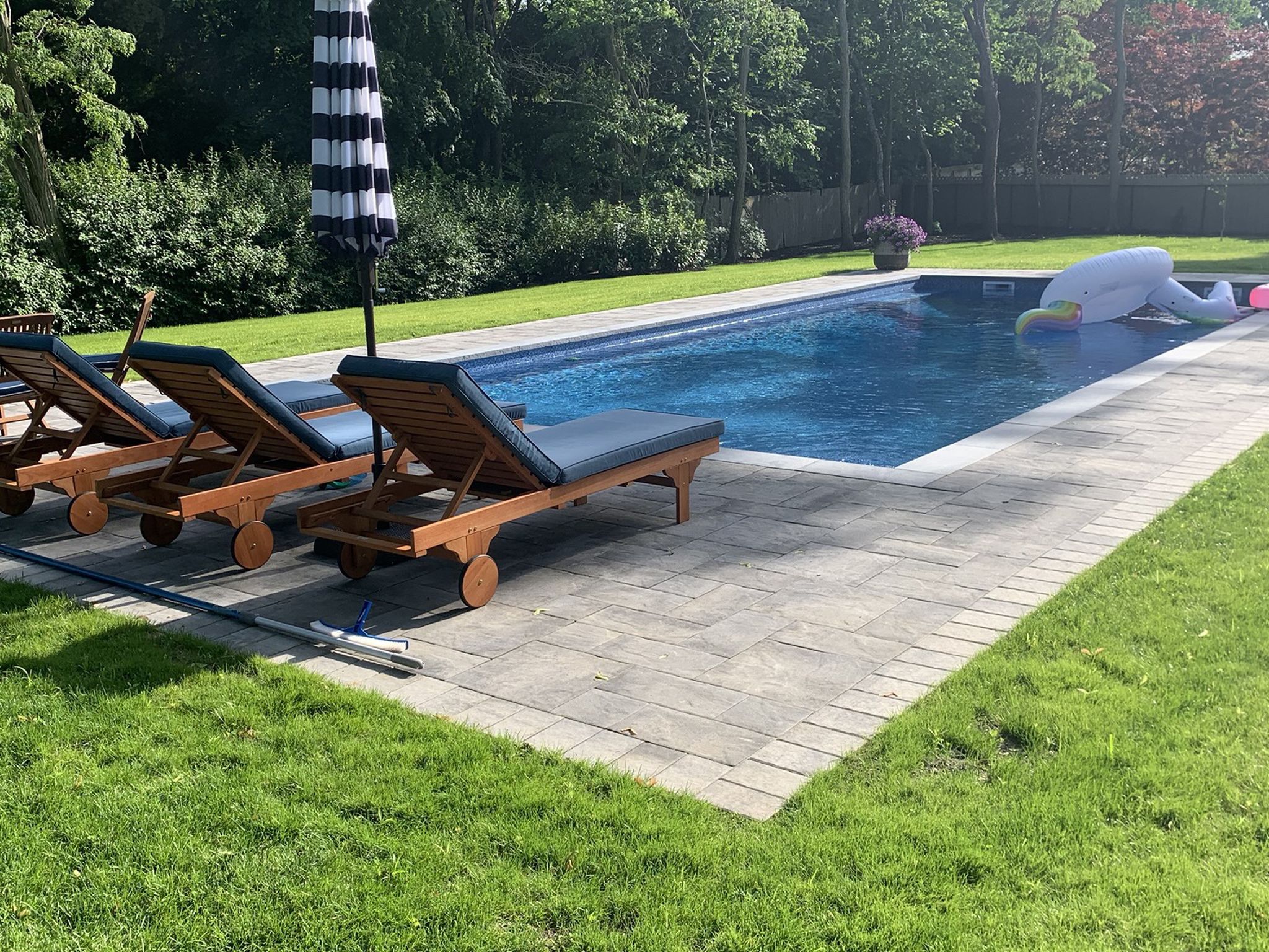 I can show you many pool designs and you decide which one you like