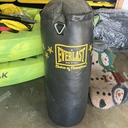 Everlast Punching Bag