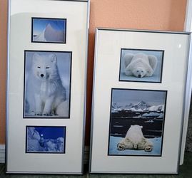 Set Of Pictures