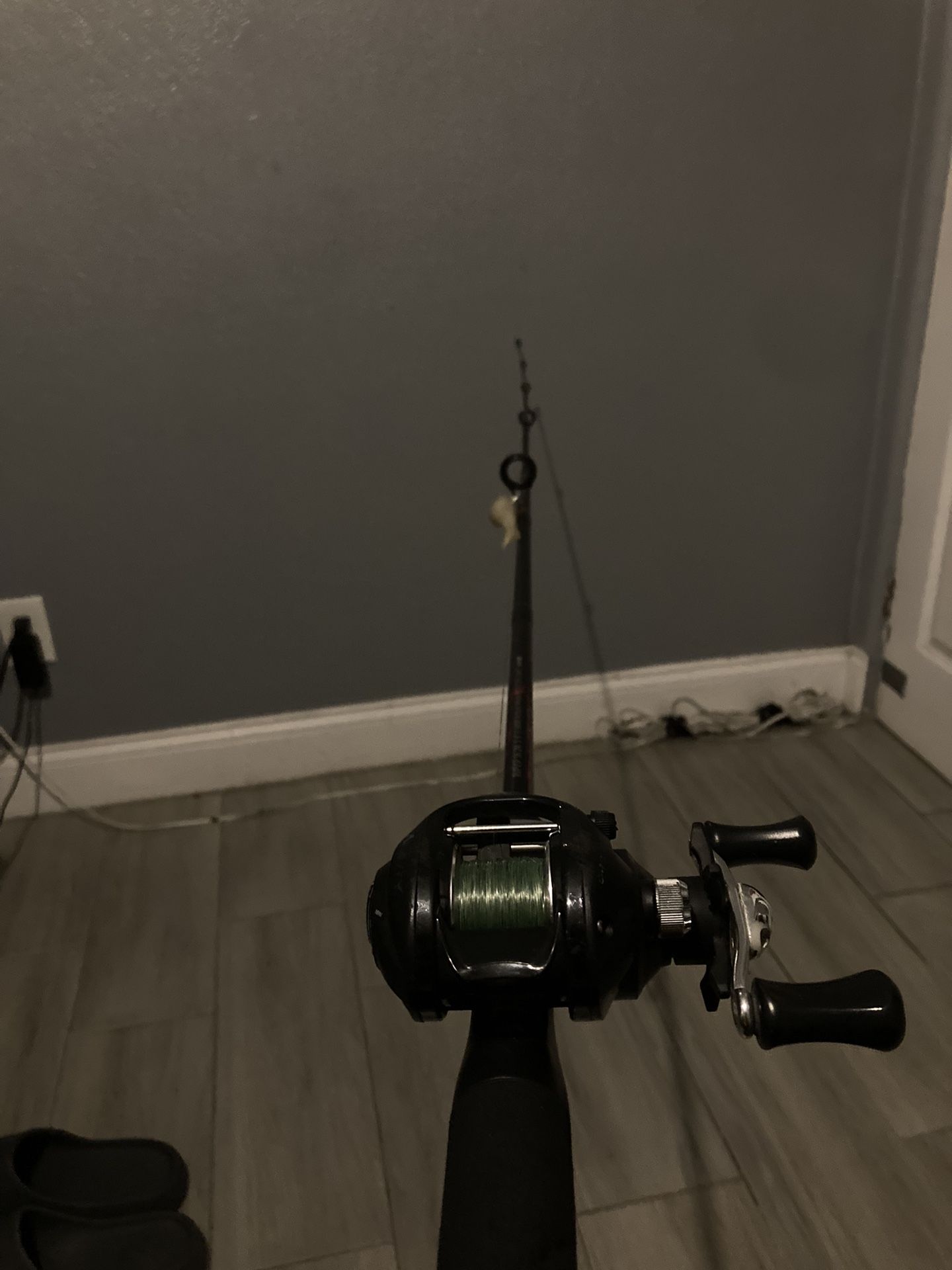 Fishing Rod