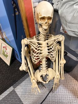 Halloween Skeleton Decoration Full Size