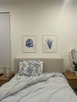 Cushion Full-Sized Headboard