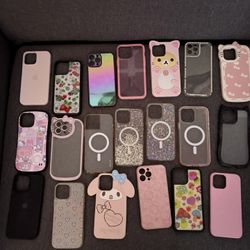 iPhone 13 Pro Max Cases 