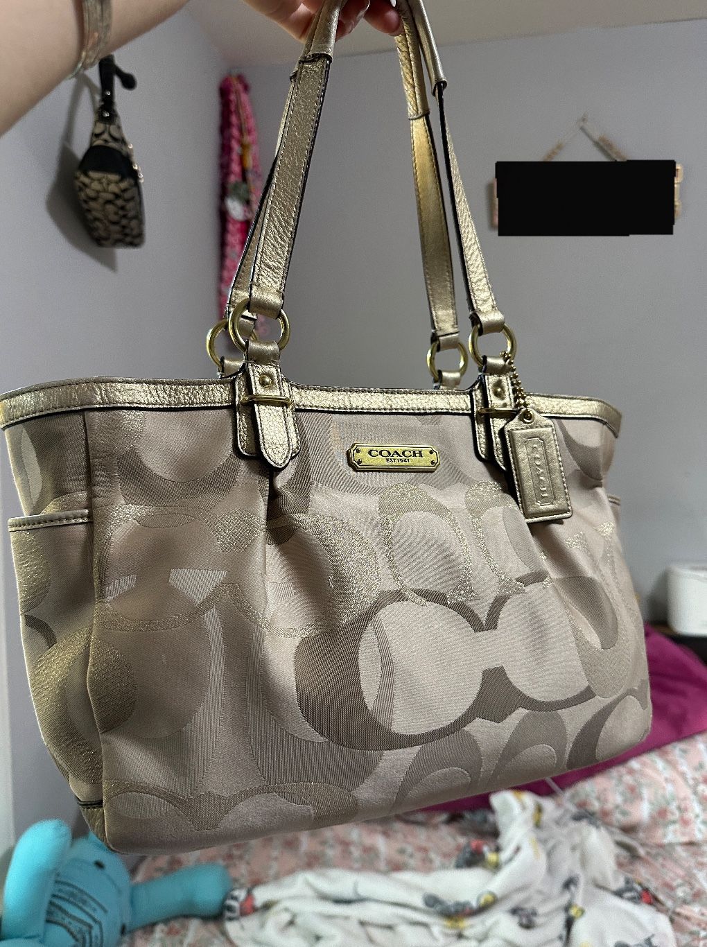 coach bag