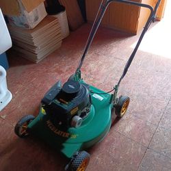 $100 lawn mower