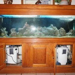 Salt Water Aquarium