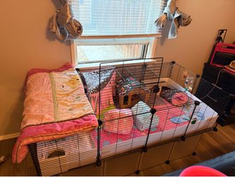 Guinea pig cage
