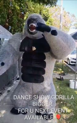 Gorilla show dance to animate u event