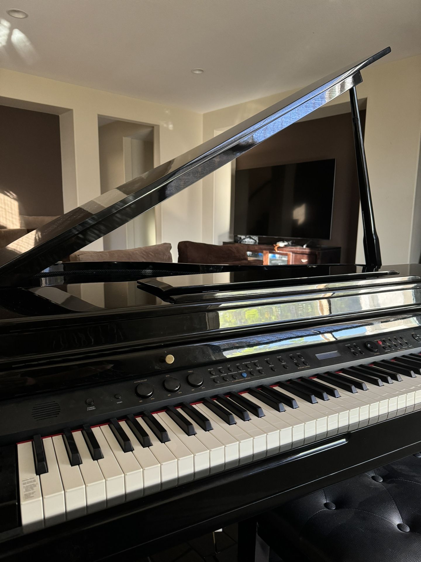 Artesia AG-40 Baby Grande Digital Piano