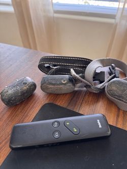 DelaPet Remote Dog Training Collar Set