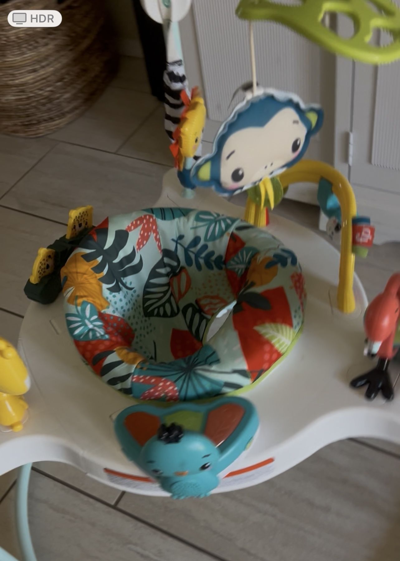Baby Bouncer