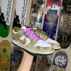 Nike Sb Dunk Chameleon Size 11