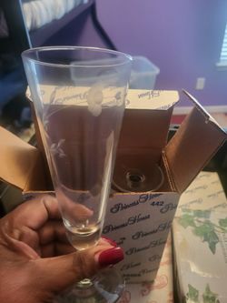 Princess House Pilsner Glasses