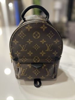Authentic Louis Vuitton Palm Springs Mini