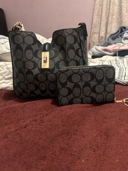 Coach purse