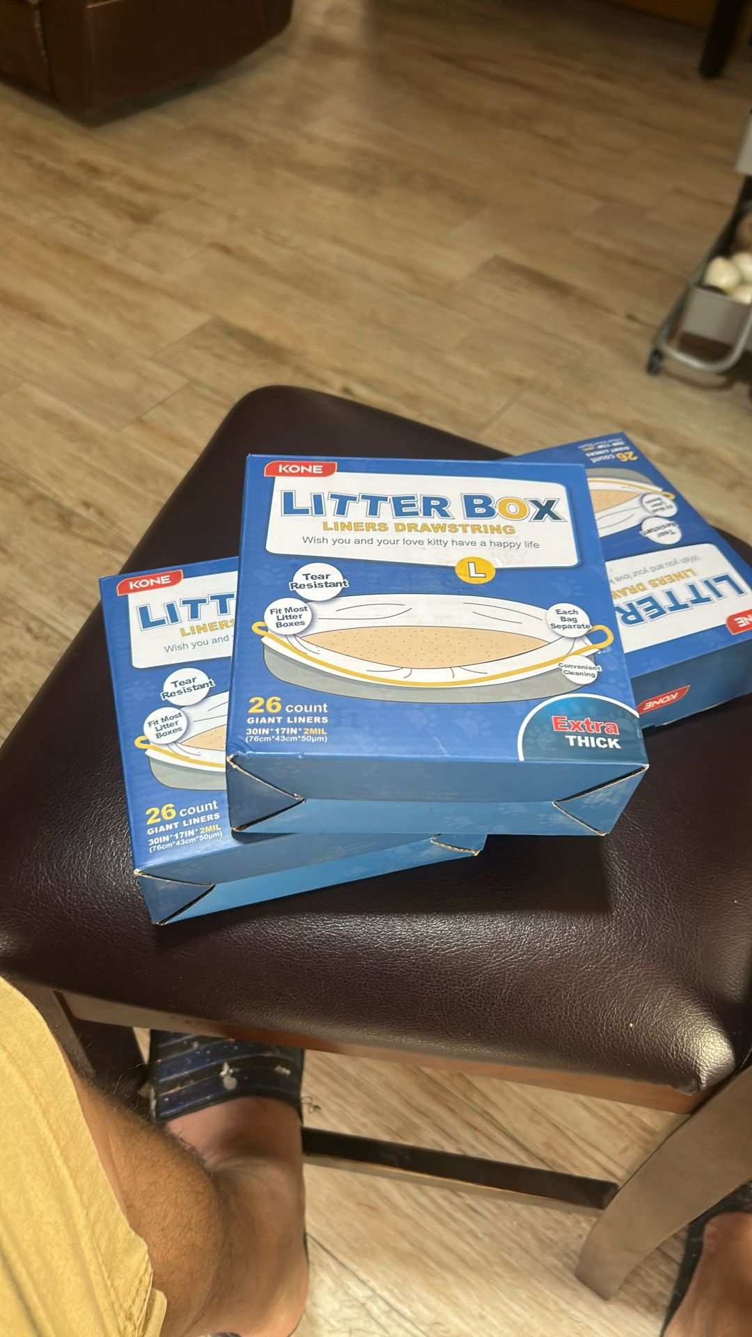 Litter Box