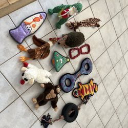 Dog toys, Lift Jackets, Halloween Costumes, Sweaters, Harness & Leash, & food Containers!