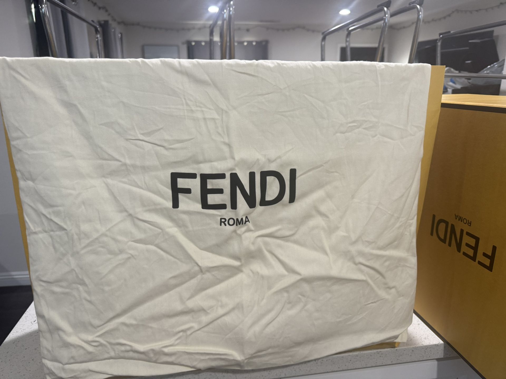 Large FENDI dust Bag