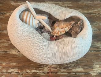 Decorative Conch filled with Shells