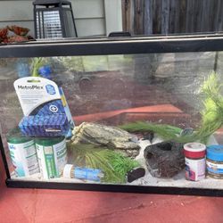 10 Gallon Fish Tank