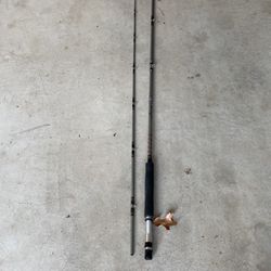 Daiwa Fly Fishing Rod