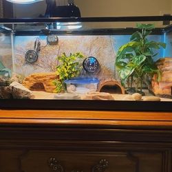 Leopard Gecko Tank 