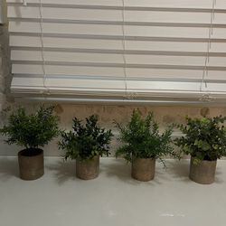 Faux Plant Set of 4