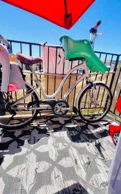 Bicycle with 2 Baby Seats - Used