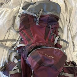 Deuter lite backpack 45L plus 10 limited color