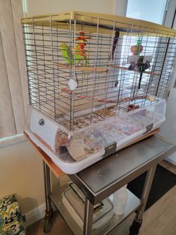 Small Or Large Cage