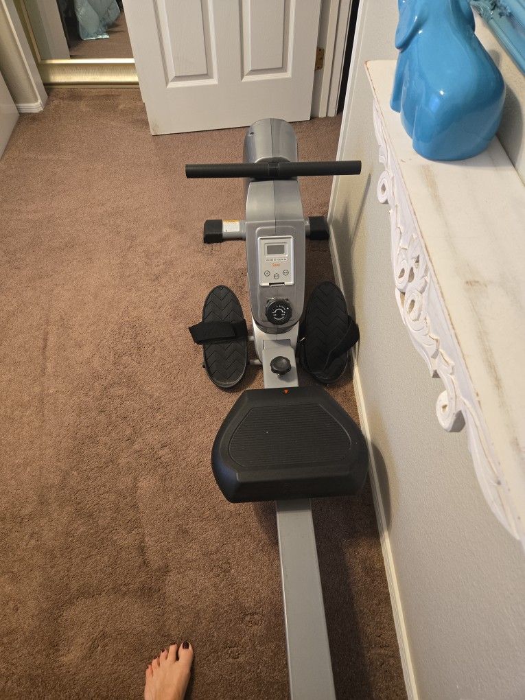Sunny Day Rowing Machine