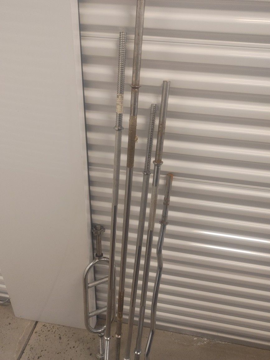 1" Bars Straight, Hammer, Curl, Dumbbell