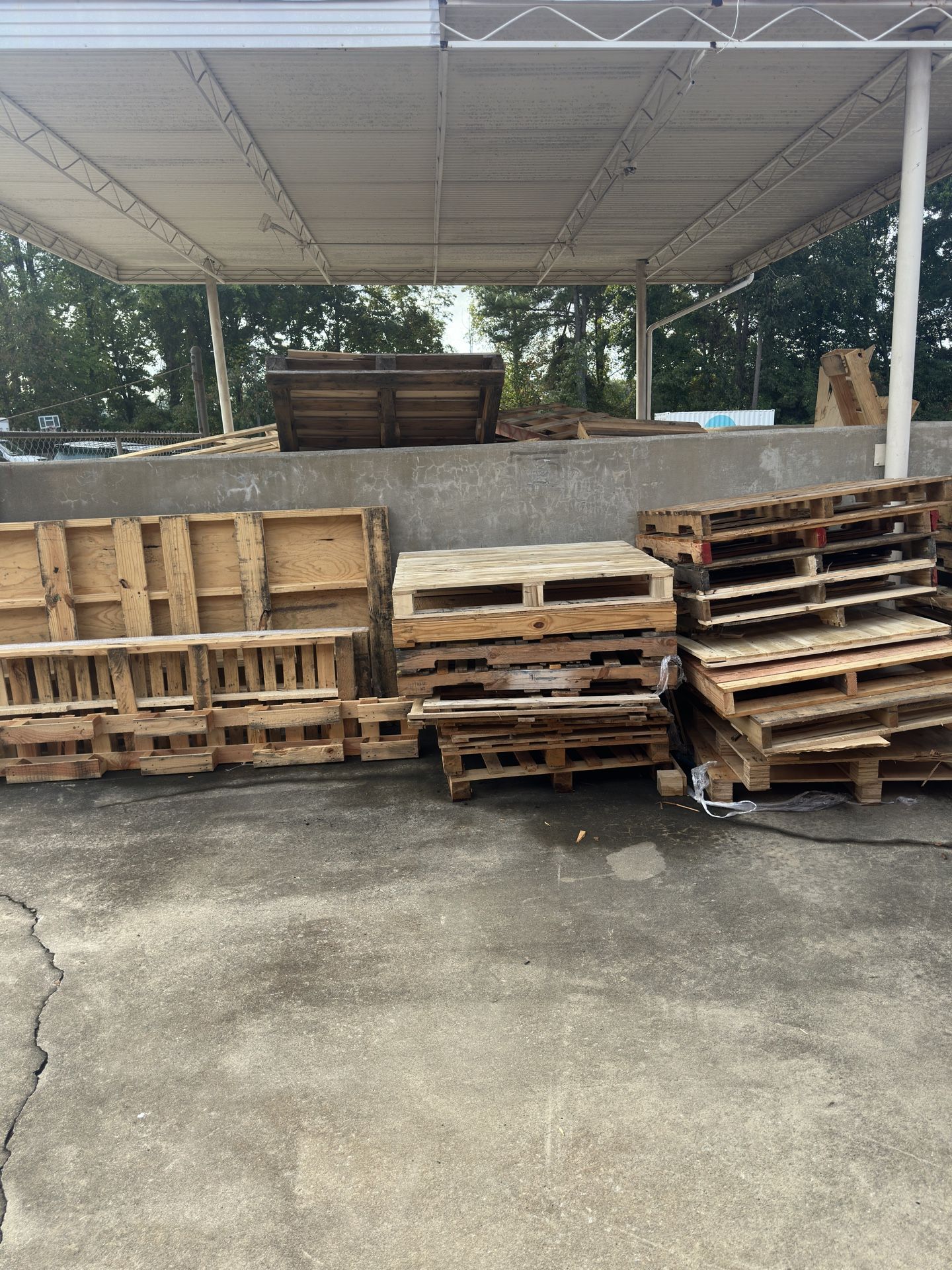 ‼️FREE WOOD‼️