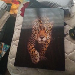 30x30 And 40x40 Leopard Pictures