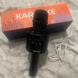 Karaoke microphone