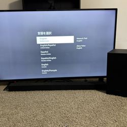 Insignia TV with Soundbar