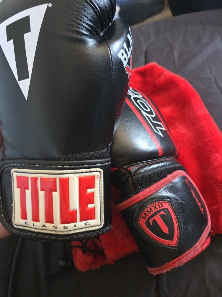 Torque Boxing Gloves