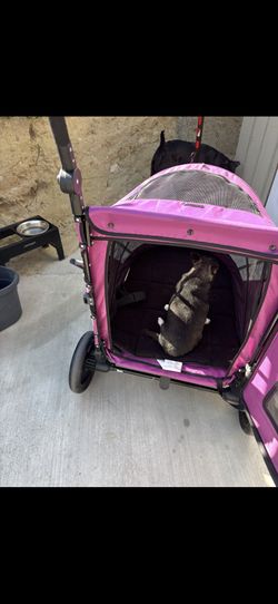 Dog Stroller