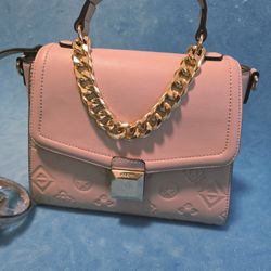 Aldo Handbag 