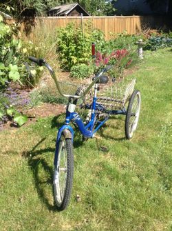 Torker Tristar Tricycle for Sale in Eugene OR OfferUp