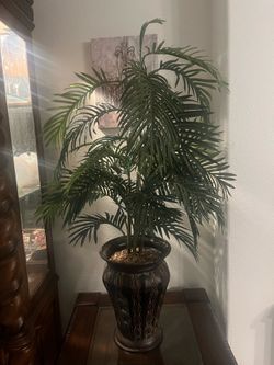 Artificial Plant in Vase