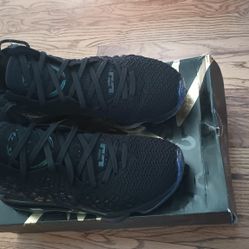 Nike LeBron James Shoes 