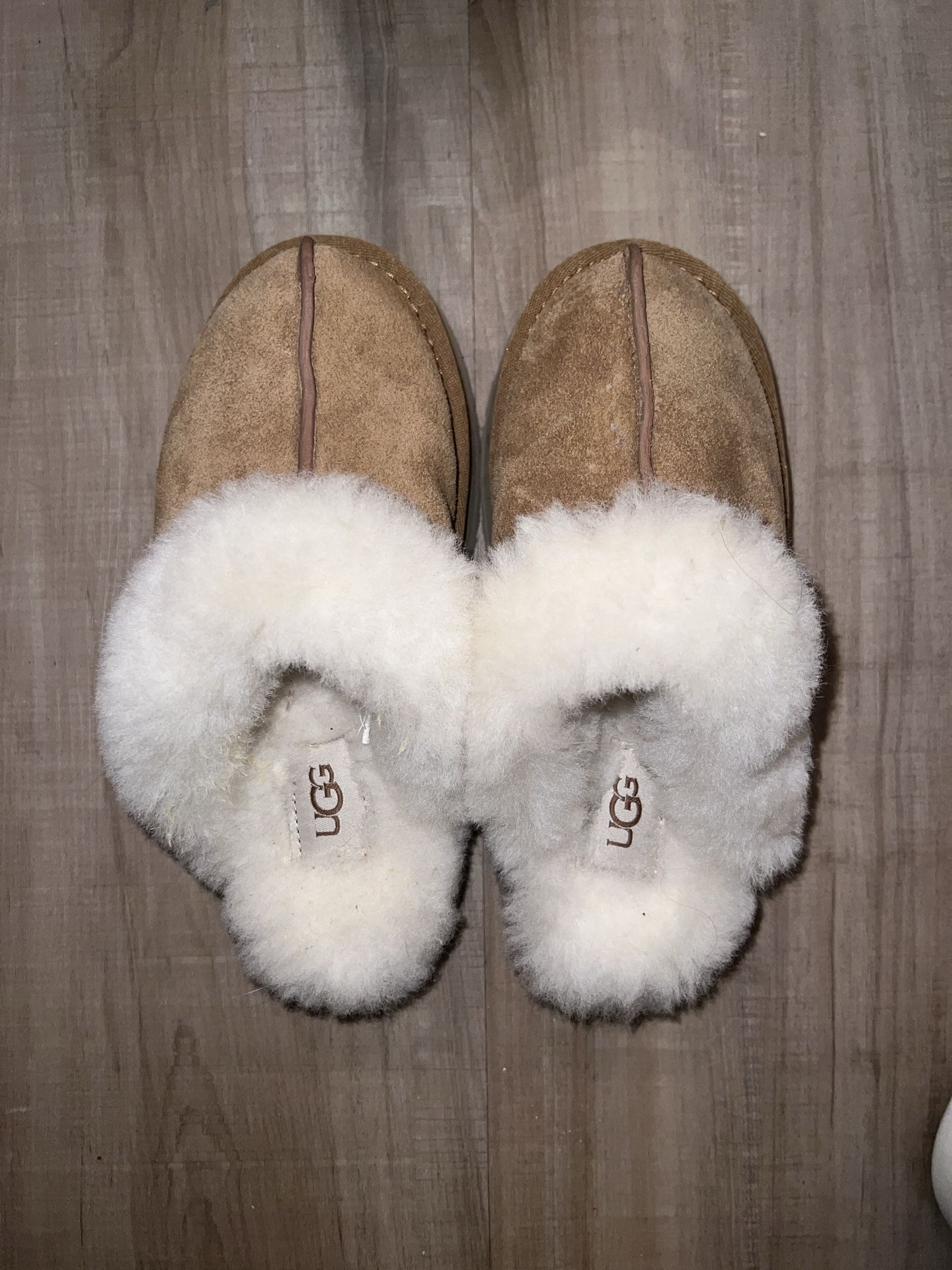 Brand New Uggs For Sale.!