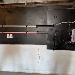 Rep Colorado Barbell (Pink, Women’s)