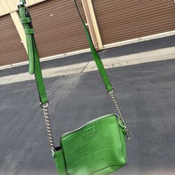 Steve Madden Purse